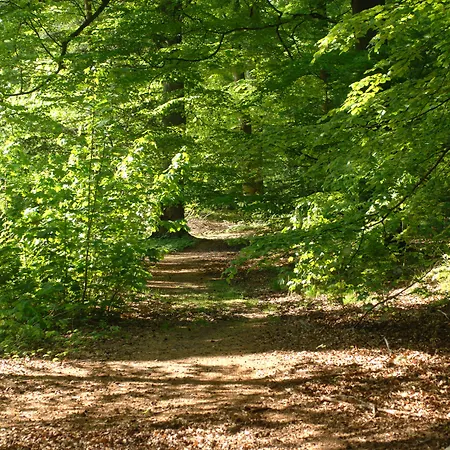 ホテル Parkhotel De Bosrand