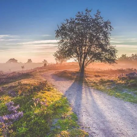 Parkhotel De Bosrand 3* Ede