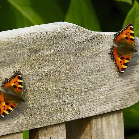 Parkhotel De Bosrand 3* エーデ