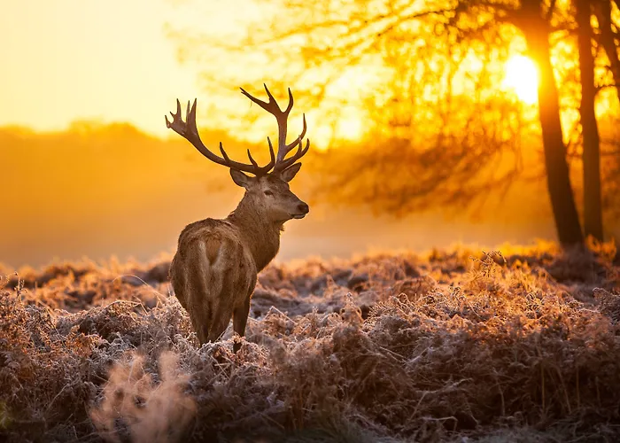 Hotel Parkhotel De Bosrand Ede
