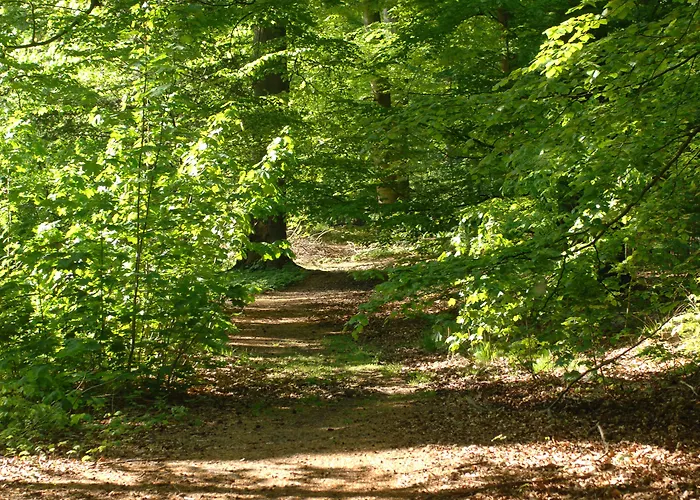 Hotel Parkhotel De Bosrand