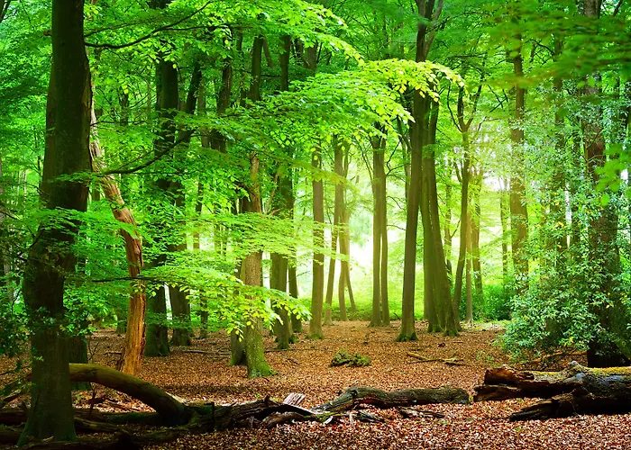 Hotel Parkhotel De Bosrand Ede