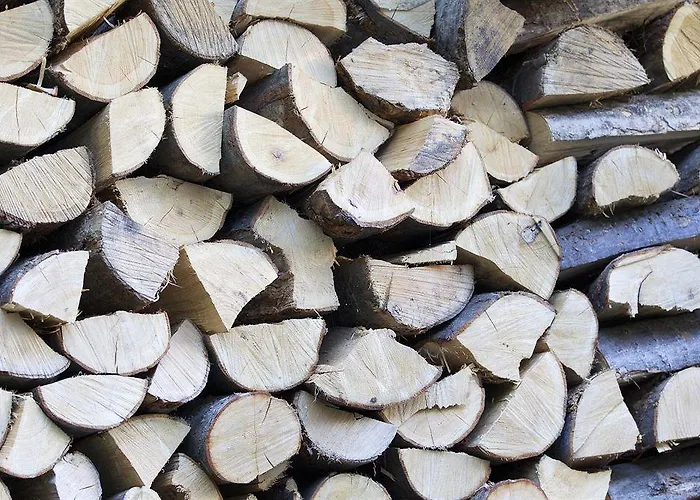 Parkhotel De Bosrand ホテル