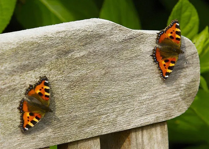 Parkhotel De Bosrand 3* エーデ