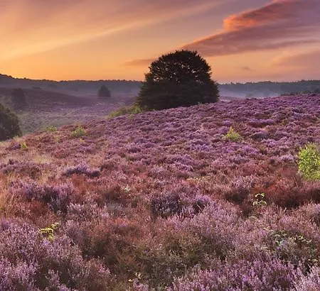 Parkhotel De Bosrand 3* Ede