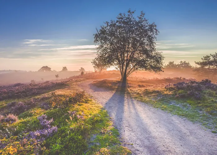 Parkhotel De Bosrand 3* Ede