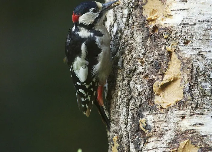 Parkhotel De Bosrand Hotel 3*